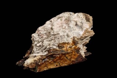 Makro taş maden ahşap siyah bir arka plan üzerine taşlaşmış 