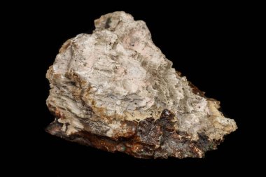 Makro taş maden ahşap siyah bir arka plan üzerine taşlaşmış 