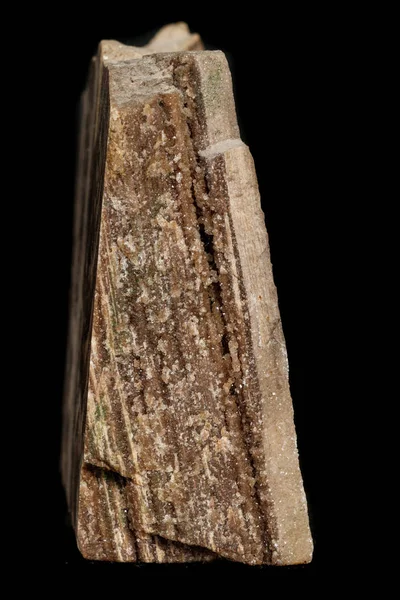 Macro pierre minérale bois pétrifié sur fond noir — Photo