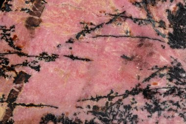Macro stone Rhodonite mineral on a black background clipart
