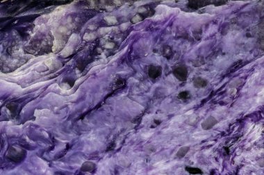 Makro taş Charoite mineral siyah bir zemin üzerine