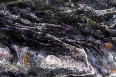 Makro taş Charoite mineral siyah bir zemin üzerine