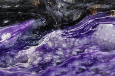 Makro taş Charoite mineral siyah bir zemin üzerine