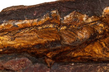 Makro taş kaplan rock siyah arka plan üzerinde maden göz 