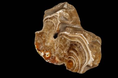 Makro taş Flint maden siyah bir zemin üzerine