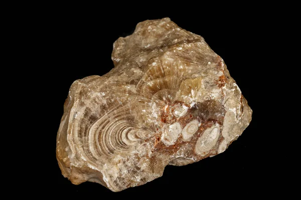 Macro stenen Flint mineraal op een zwarte achtergrond — Stockfoto