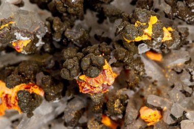 Beyaz arka planda realgar Mineral taş makro