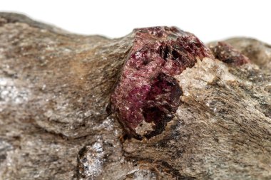 Beyaz bir arka planda rock makro taş Garnet mineral 