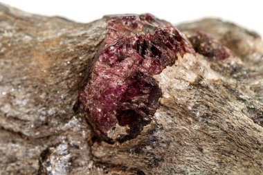 Beyaz bir arka planda rock makro taş Garnet mineral 