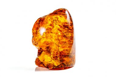 Böcek ile makro taş mineral Amber, bir w üzerinde sinekler ve böcekler
