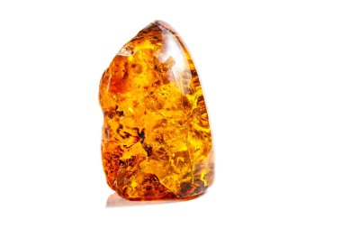 Böcek ile makro taş mineral Amber, bir w üzerinde sinekler ve böcekler