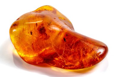 Böcek ile makro taş mineral Amber, bir w üzerinde sinekler ve böcekler