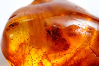 Böcek ile makro taş mineral Amber, bir w üzerinde sinekler ve böcekler