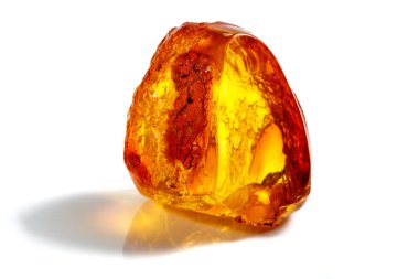 Böcek ile makro taş mineral Amber, bir w üzerinde sinekler ve böcekler