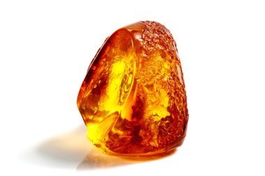 Böcek ile makro taş mineral Amber, bir w üzerinde sinekler ve böcekler