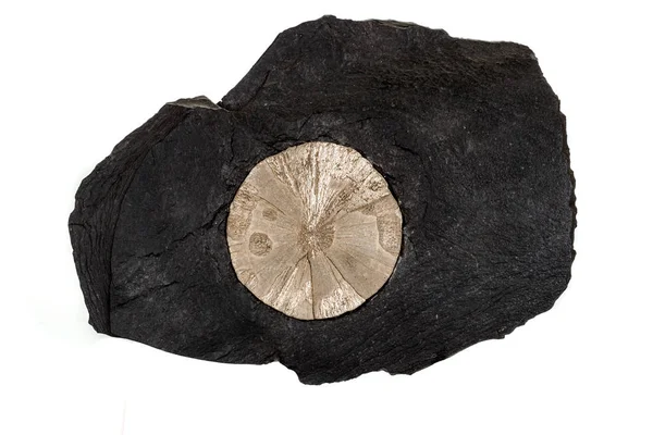 Makro taş beyaz arka planda kaya pirit mineral