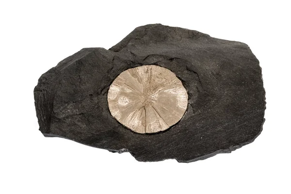 Makro taş beyaz arka planda kaya pirit mineral