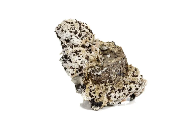 Makro taş beyaz arka planda kaya pirit mineral 