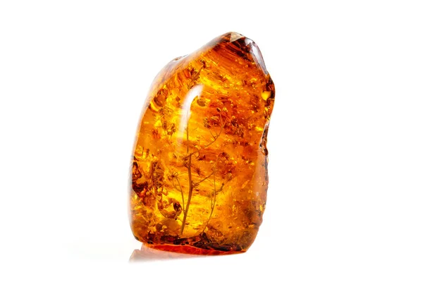 Macro pietra minerale ambra con insetti, mosche e coleotteri su un w — Foto Stock