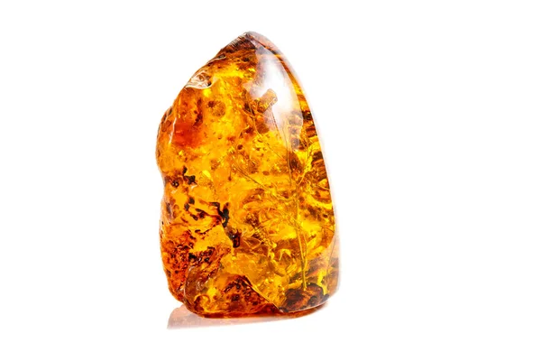 Macro pierre ambre minéral avec insectes, mouches et coléoptères sur un w — Photo
