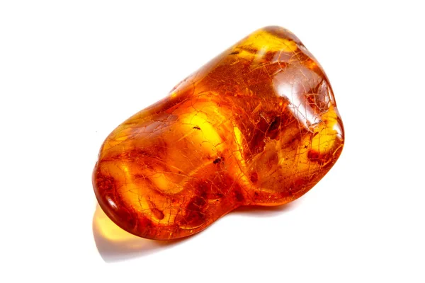 Macro stone mineral amber with insects, flies and beetles on a w — Stock Photo, Image