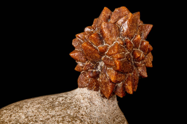 Macro stone Ikaite mineral in rock on a black background 