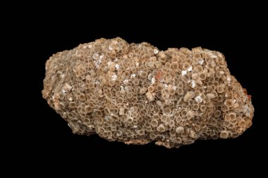 Siyah arka plan üzerinde makro taş Aragonit minerali