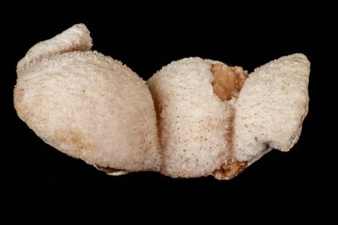 Siyah arka plan üzerinde makro taş mordenite mineral