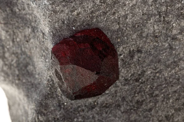 Macro minerale steen granaat in rots op een witte achtergrond — Stockfoto
