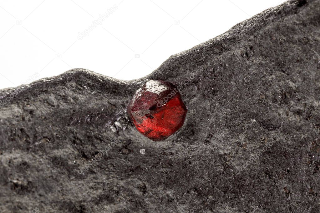 Macro mineral stone Garnet in rock on a white background 