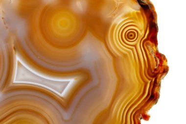 Beyaz arka planda makro taş Akik minerali