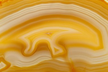 Beyaz arka planda makro taş Akik minerali