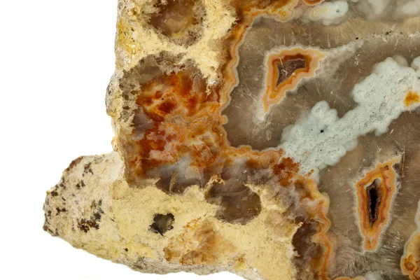 Macro piedra Ágata mineral sobre fondo blanco — Foto de Stock
