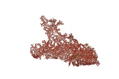 Beyaz arka plan üzerine makro bakır mineral taş