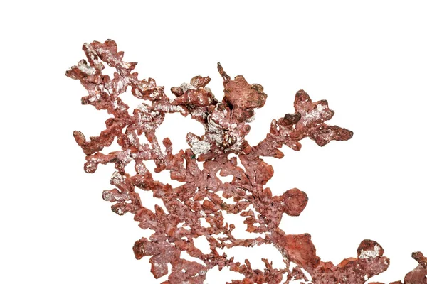 Beyaz arka plan üzerine makro bakır mineral taş
