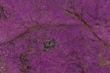 Makro mineral taş purpureus, (mor) cins purpurit bir
