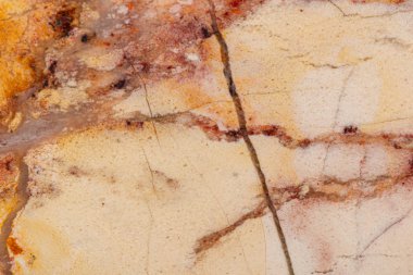 Beyaz arka planda makro taş Jasper mineral