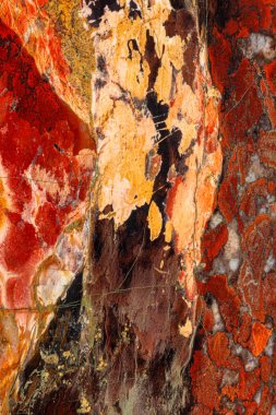 Beyaz arka planda makro taş Jasper mineral