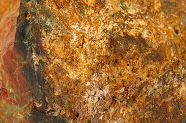 Beyaz arka planda makro taş Jasper mineral