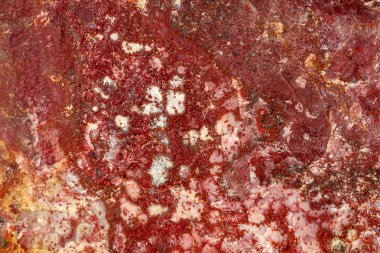 Beyaz arka planda makro taş Jasper mineral