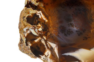 Beyaz arka planda makro taş Jasper mineral 