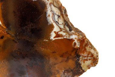 Beyaz arka planda makro taş Jasper mineral 