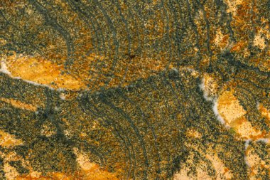 Beyaz arka planda makro taş skarn mineral