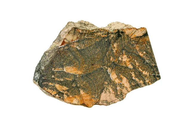 Macro pedra skarn mineral no fundo branco — Fotografia de Stock