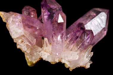 Siyah arka plan üzerinde ametist mineral taş makro 