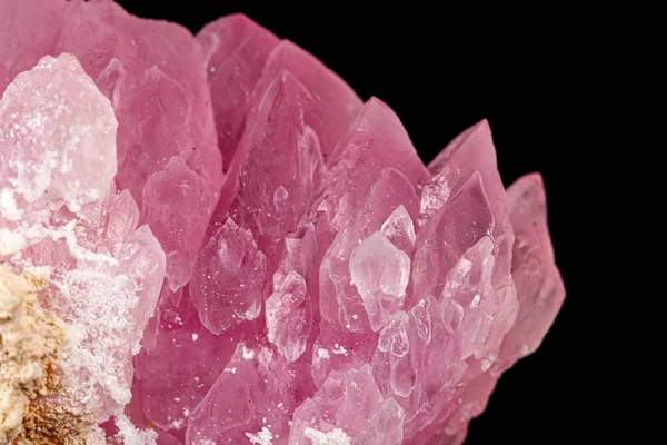 Macro pink quartz mineral stone on black background