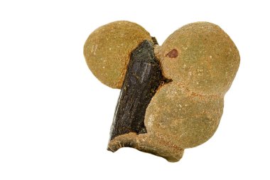 Beyaz arka plan üzerinde makro taş Prehnite minerali