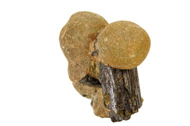 Beyaz arka plan üzerinde makro taş Prehnite minerali