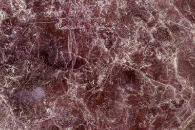 Beyaz arka planda makro taş Lepidolite minerali