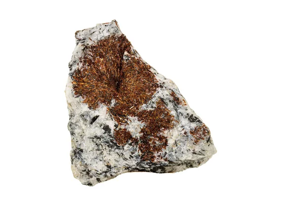 Macro pierre Astrophyllite minérale sur fond blanc — Photo
